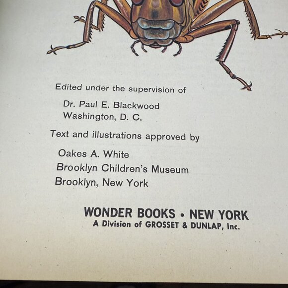 ✅How and Why Wonder Books Vintage 1960's Kids Reference Books Lot of 9 - Picture 4 of 10